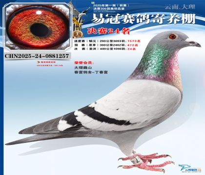 �����׹ھ���24��