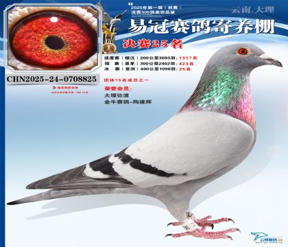 �����׹ھ���25��