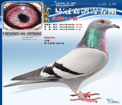 �����׹ھ���27��