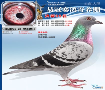 �����׹ھ���28��