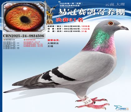 �����׹ھ���31��