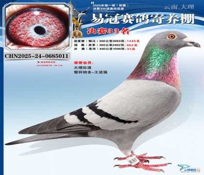 �����׹ھ���33��