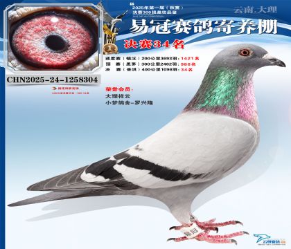 �����׹ھ���34��