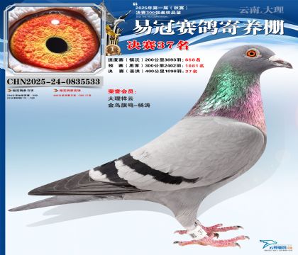 �����׹ھ���37��