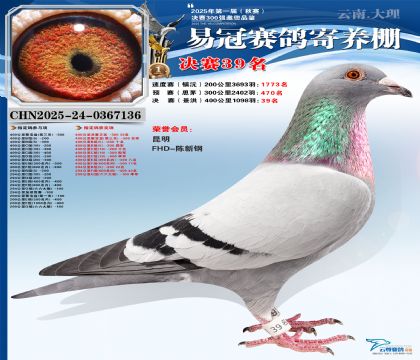 �����׹ھ���39��