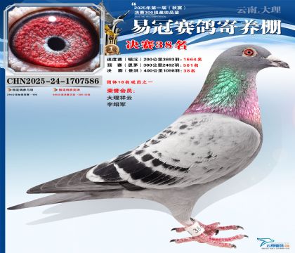 �����׹ھ���38��