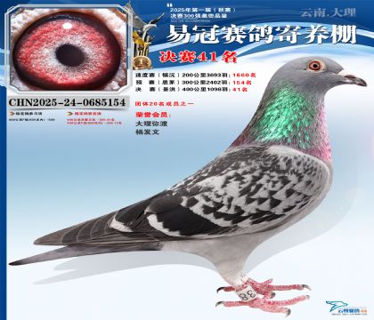 �����׹ھ���41��