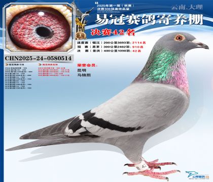 �����׹ھ���42��