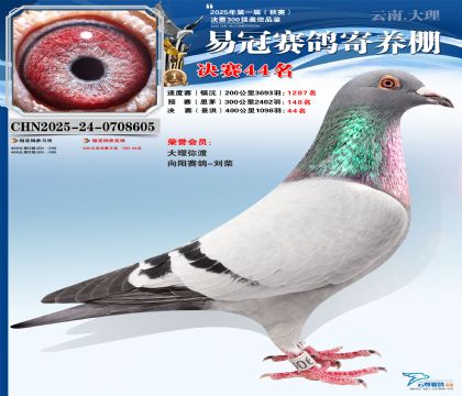 �����׹ھ���44��