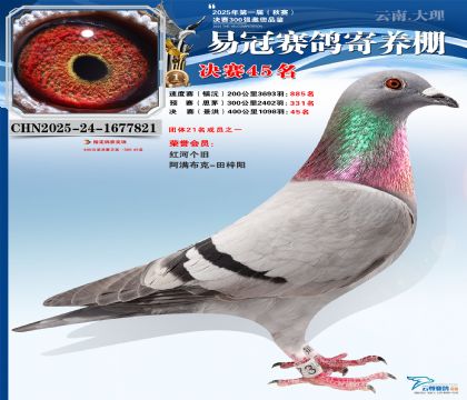 �����׹ھ���45��