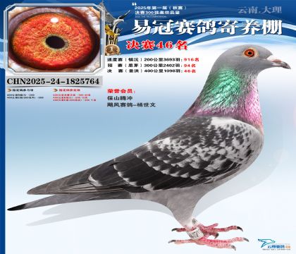 �����׹ھ���46��