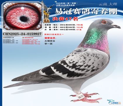 �����׹ھ���47��