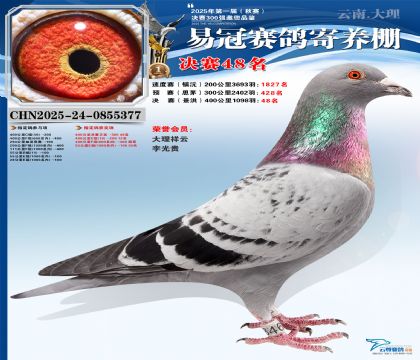 �����׹ھ���48��