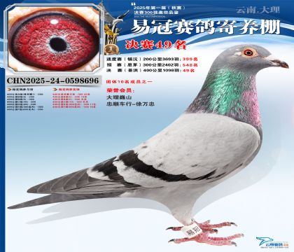 �����׹ھ���49��