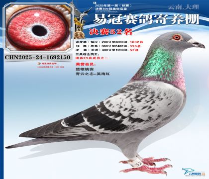 �����׹ھ���52��