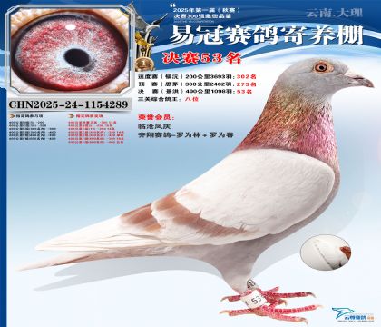 �����׹ھ���53�������ظ���8����