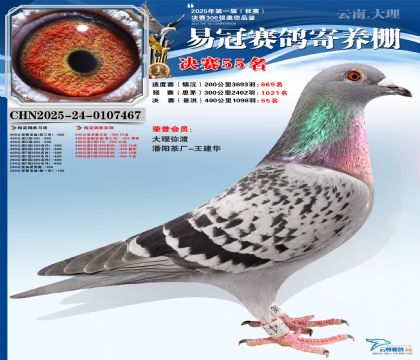 �����׹ھ���55��