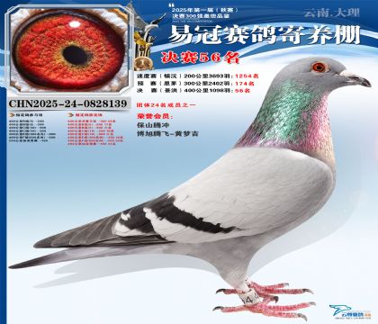 �����׹ھ���56��