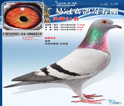 �����׹ھ���61��