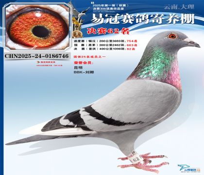 �����׹ھ���62��