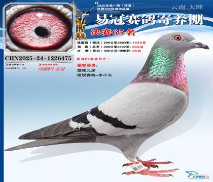 �����׹ھ���65��