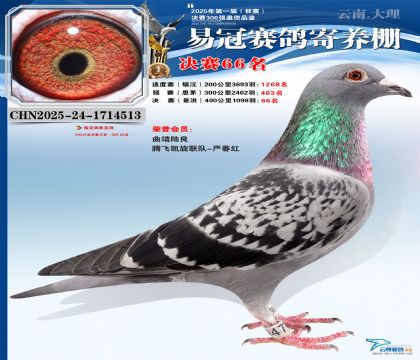 �����׹ھ���66��