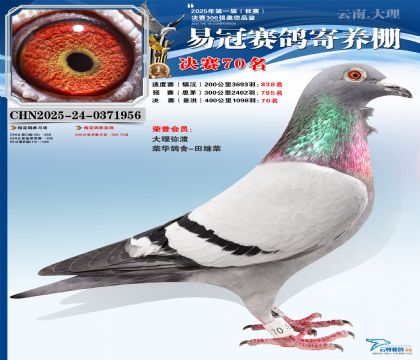 �����׹ھ���70��