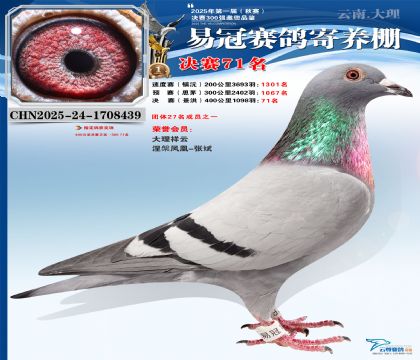 �����׹ھ���71��