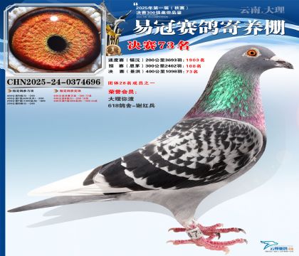 �����׹ھ���73��