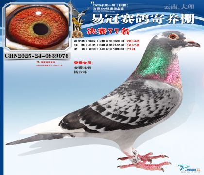 �����׹ھ���77��