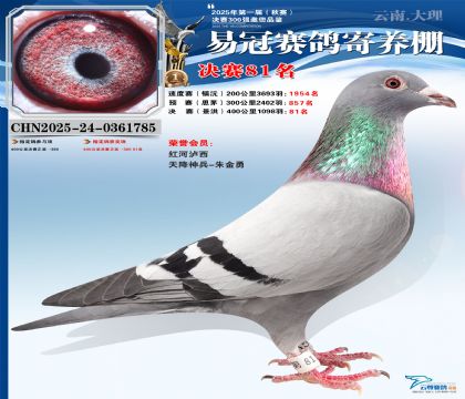 �����׹ھ���81��