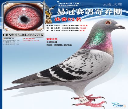 �����׹ھ���82��