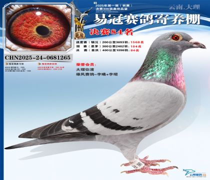 �����׹ھ���84��