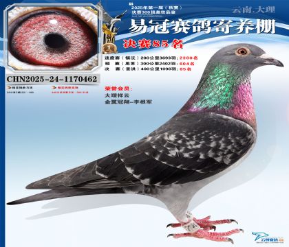 �����׹ھ���85��