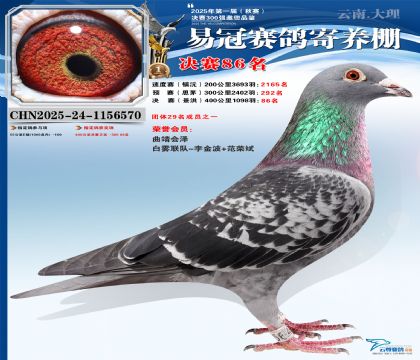 �����׹ھ���86��