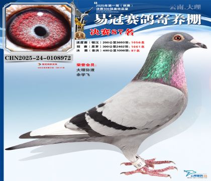 �����׹ھ���87��