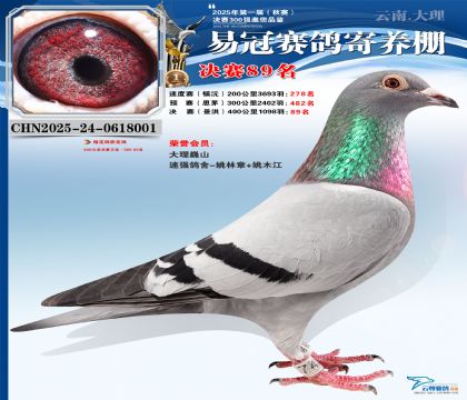 �����׹ھ���89��