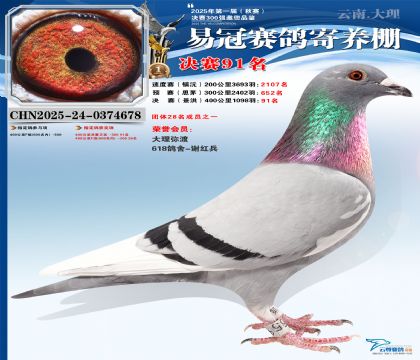 �����׹ھ���91��