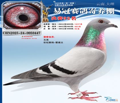 �����׹ھ���92��