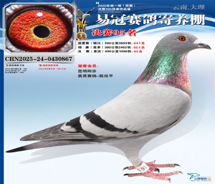 �����׹ھ���95��