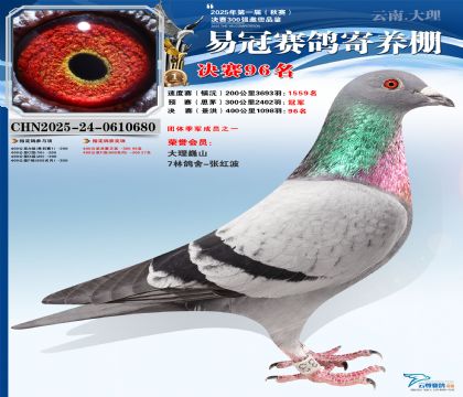 �����׹ھ���96��