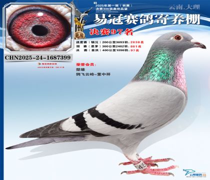 �����׹ھ���97��