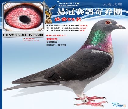 �����׹ھ���98��