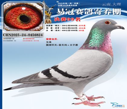 �����׹ھ���99��