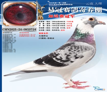 �����׹ڼ�վ���ھ�