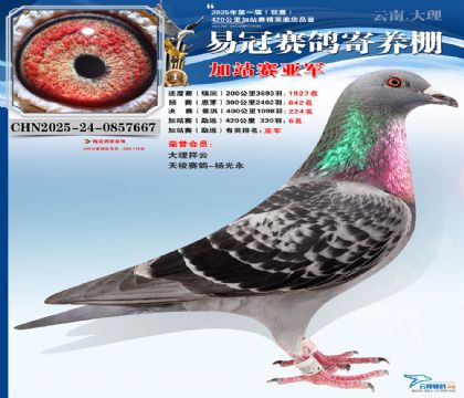 �����׹ڼ�վ���Ǿ�