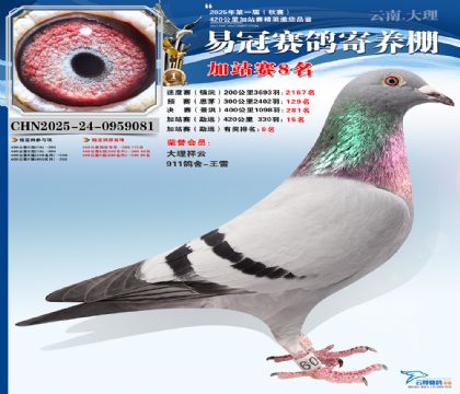 �����׹ڼ�վ��8��