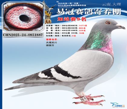 �����׹ڼ�վ��9��