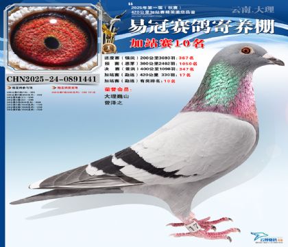 �����׹ڼ�վ��10��