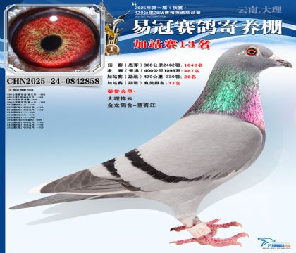 �����׹ڼ�վ��13��